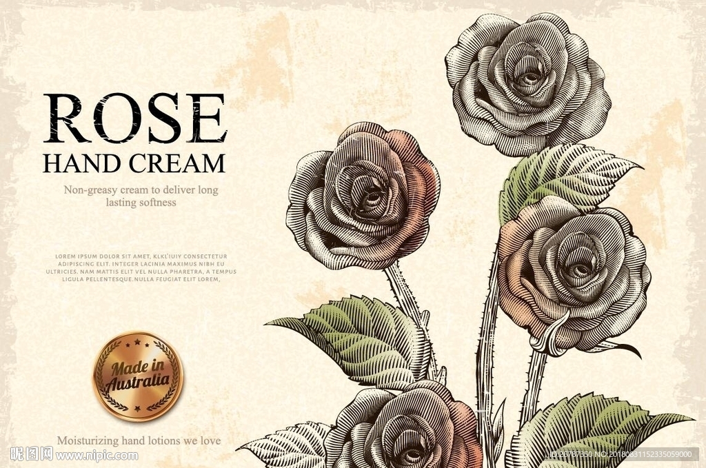 欧式古典版画风格玫瑰