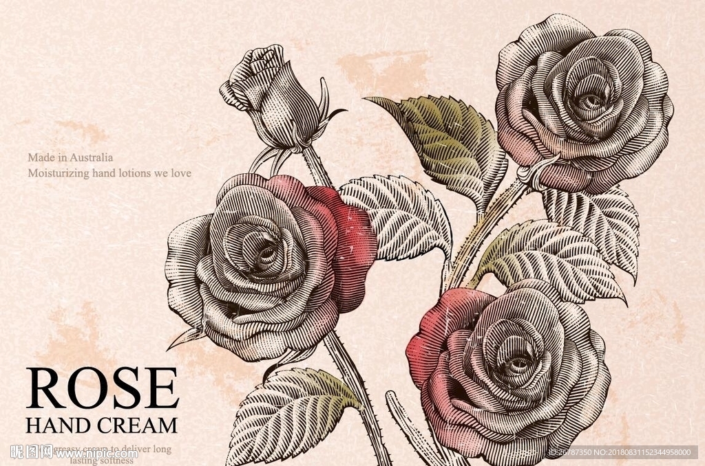 欧式古典版画风格玫瑰