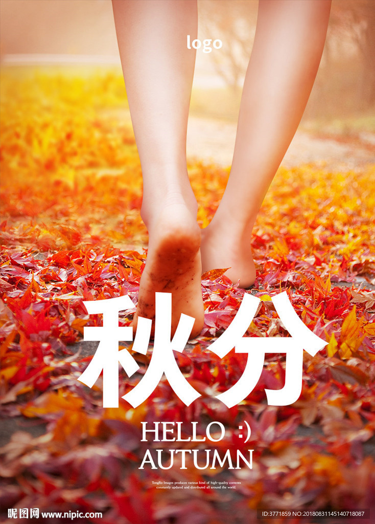 时尚秋天海报设计模板