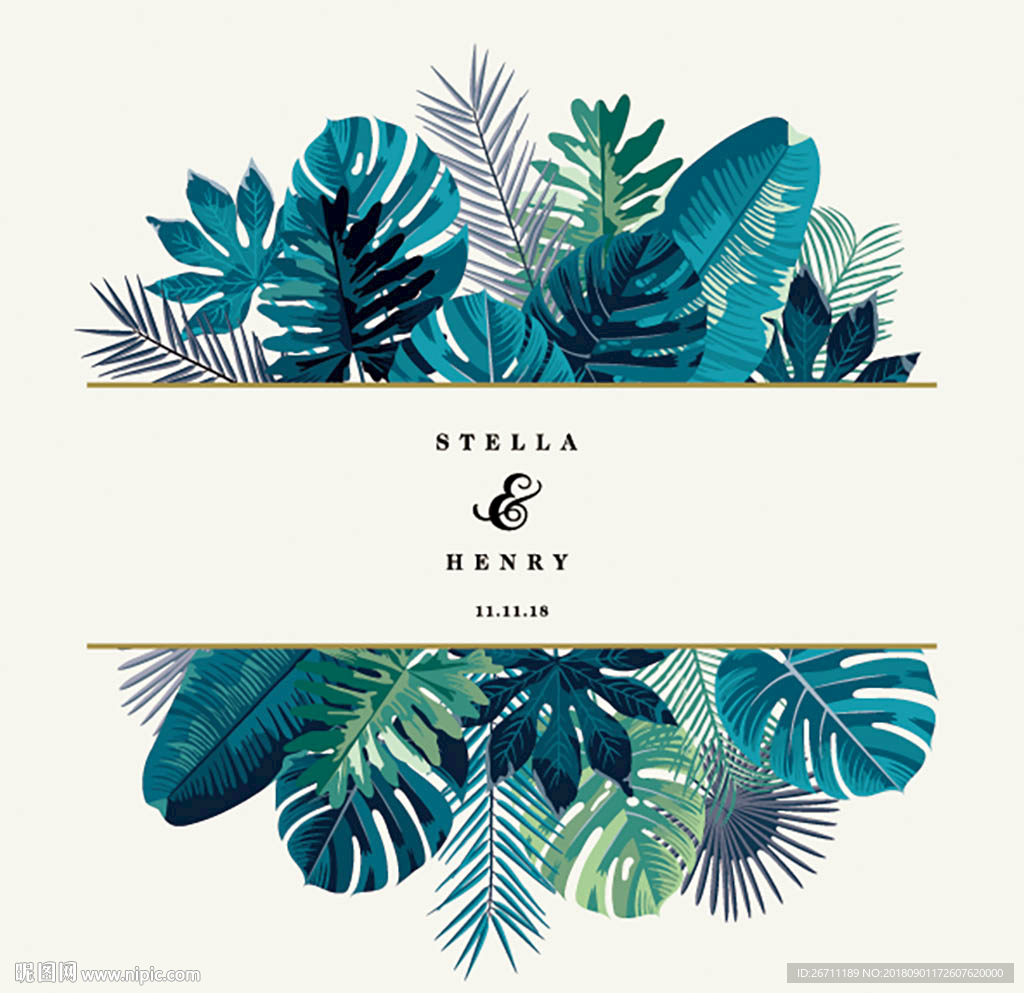 键 词:植物树叶 北欧装饰画 热带植物 热带雨林 植物边框 叶子边