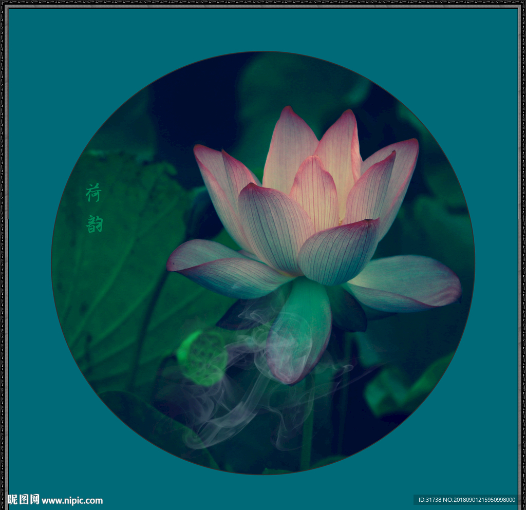 荷花装饰画