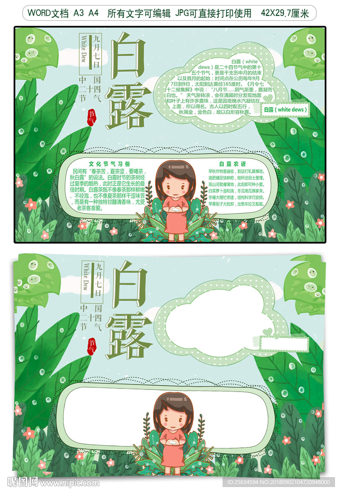 白露二十四节气文化手抄报模板