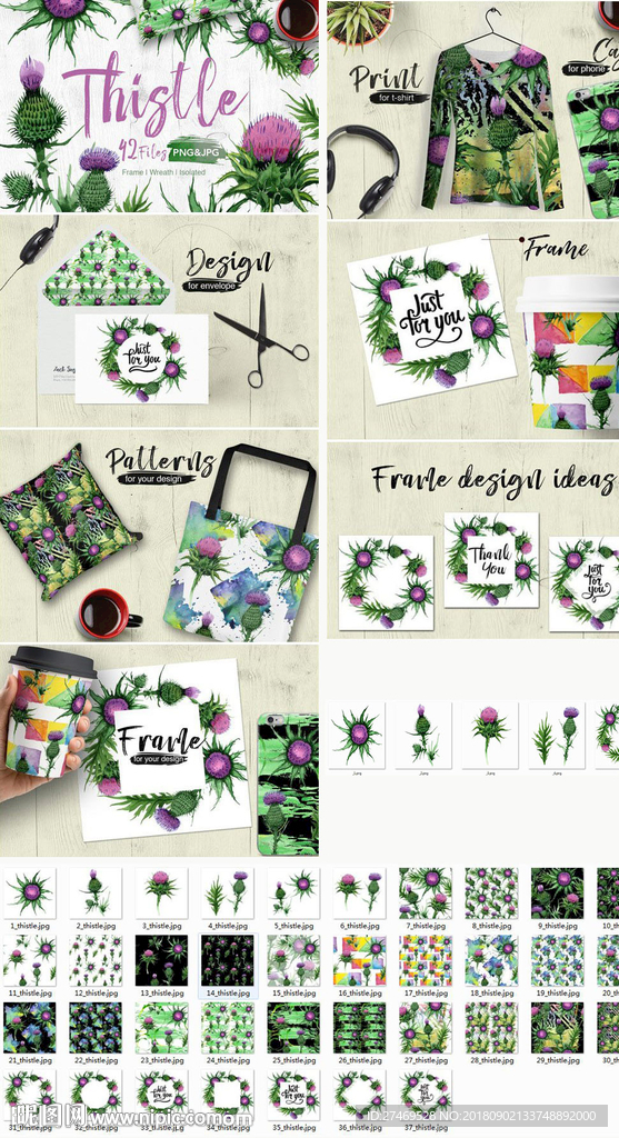 手绘水彩植物花卉