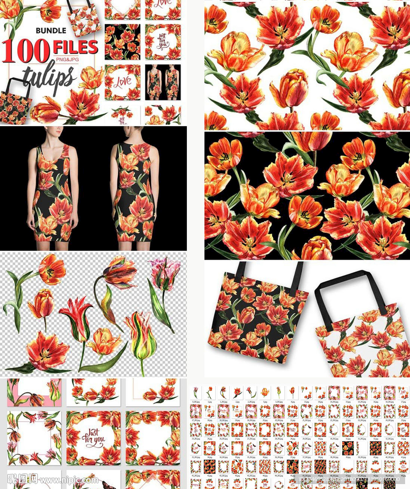 手绘水彩植物花卉