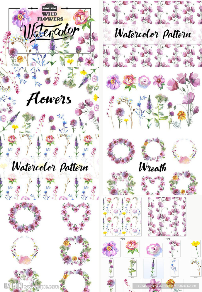 手绘水彩植物花卉