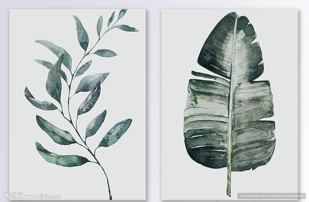 清新植物花卉叶子装饰画