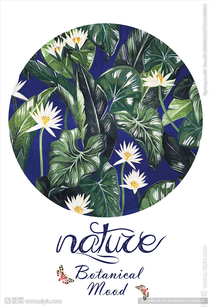 清新手绘植物装饰画