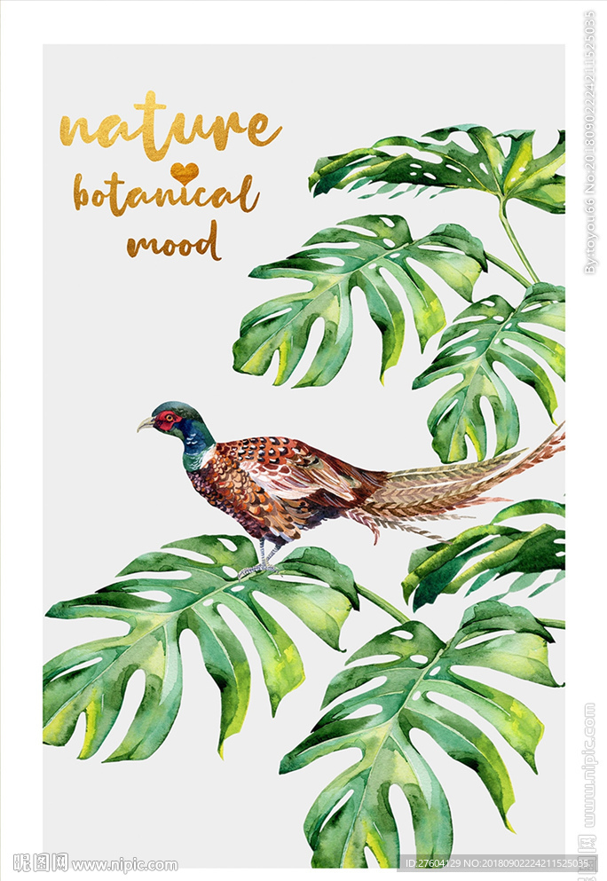 清新手绘植物花卉装饰画