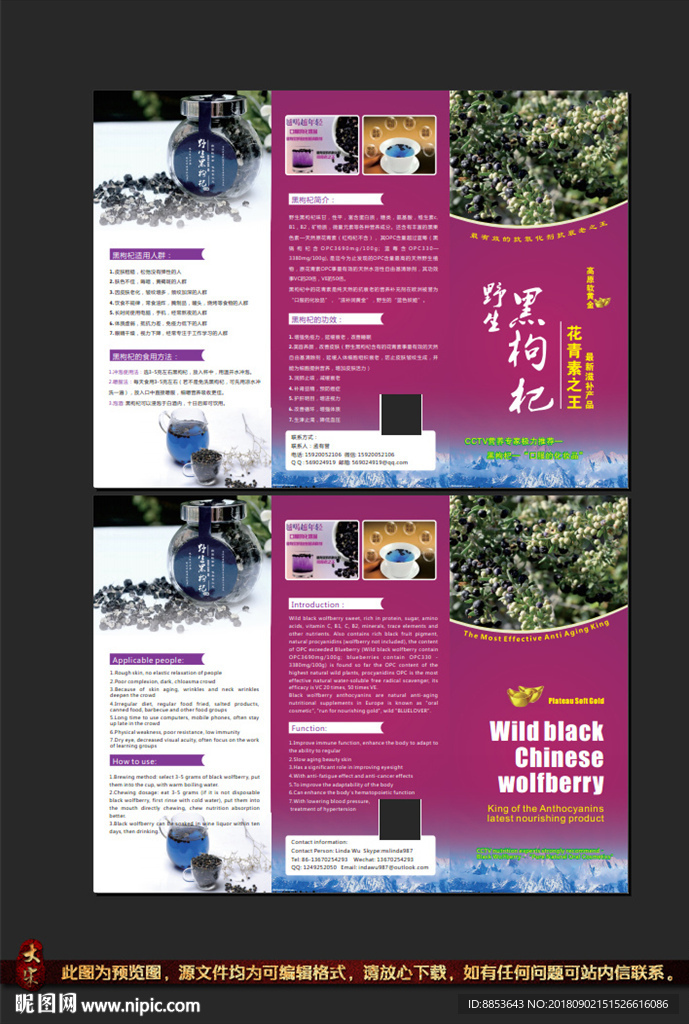 中药黑枸杞中英文宣传折页