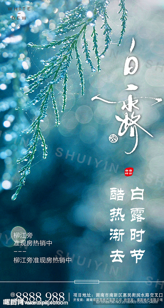 白露