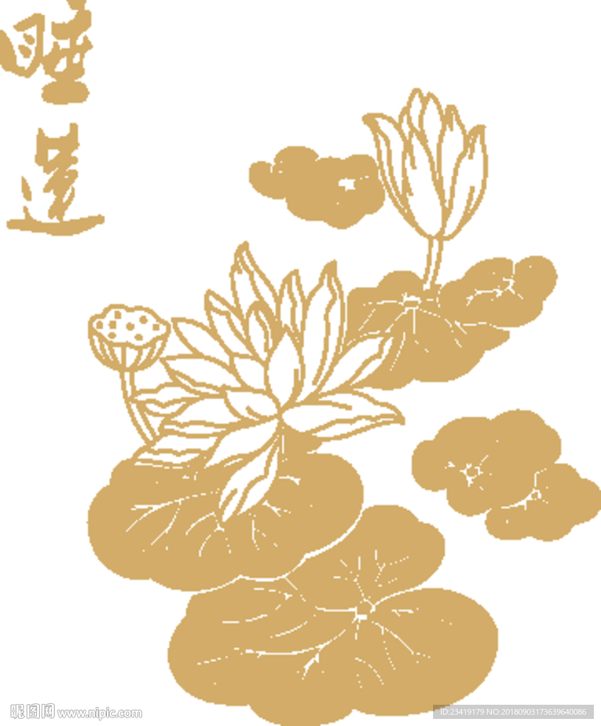 荷花