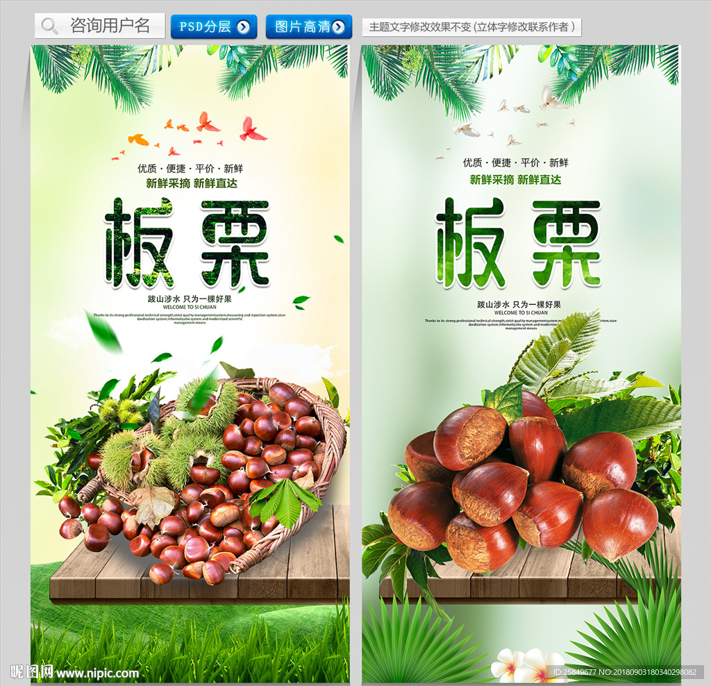板栗