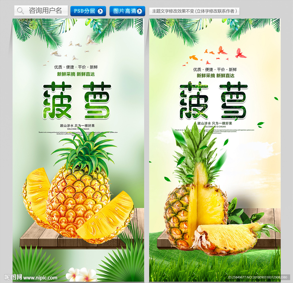 菠萝