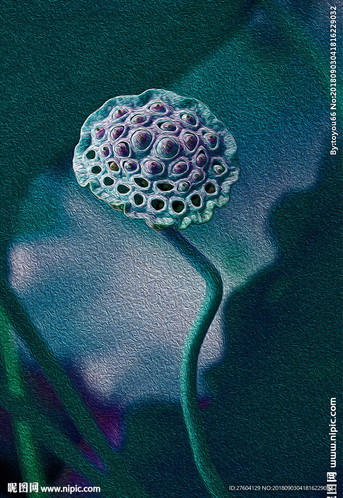 禅意一只莲蓬唯美装饰画