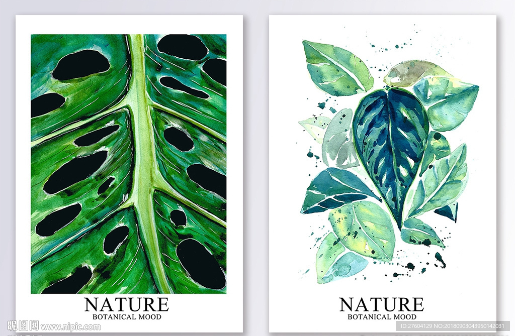 小清新植物装饰画