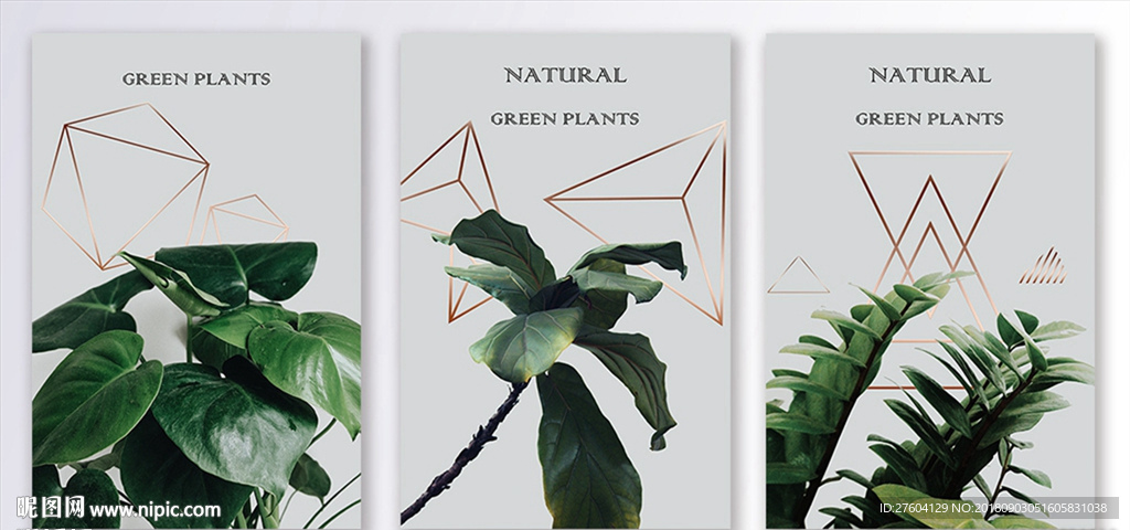 水彩绿色植物装饰画