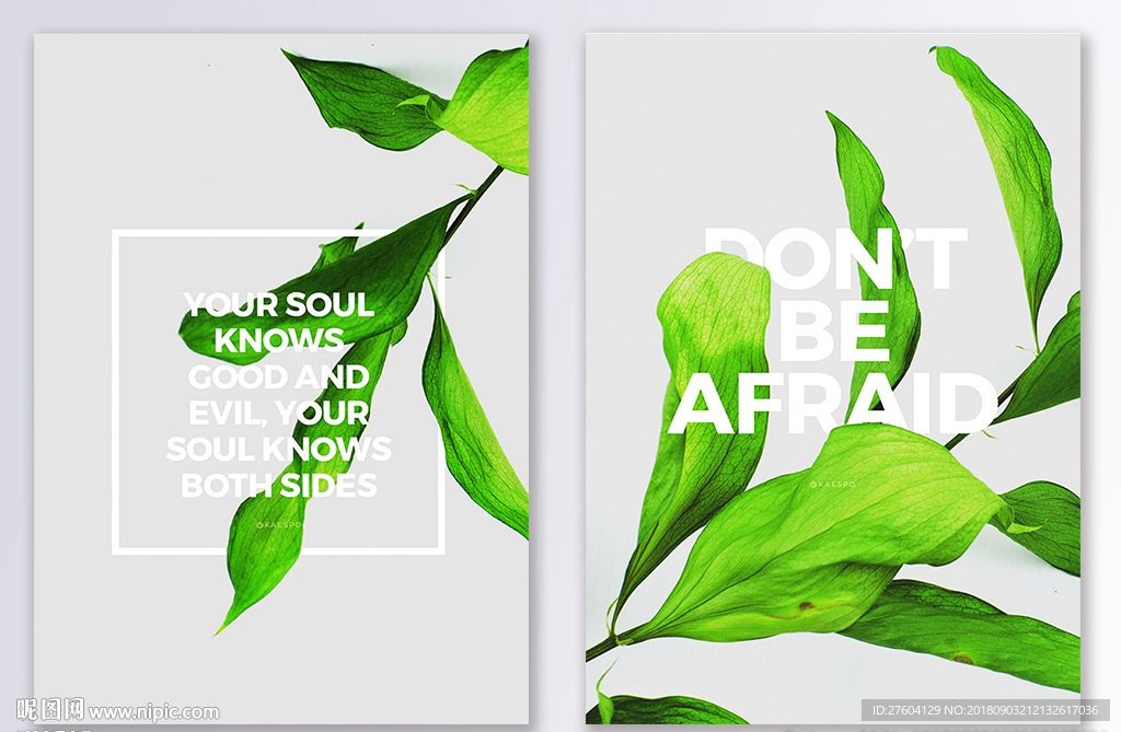 清新植物花卉装饰画