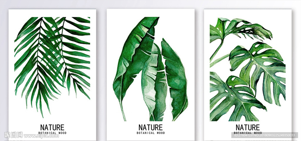 清新植物叶子装饰画
