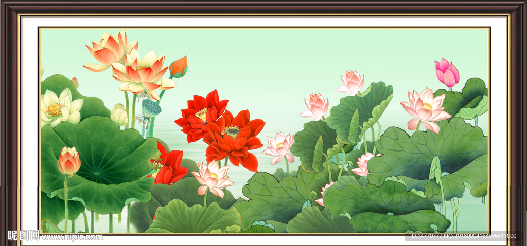 荷花国画