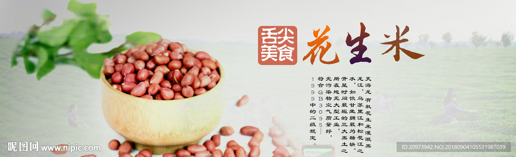 有机花生宣传图banner