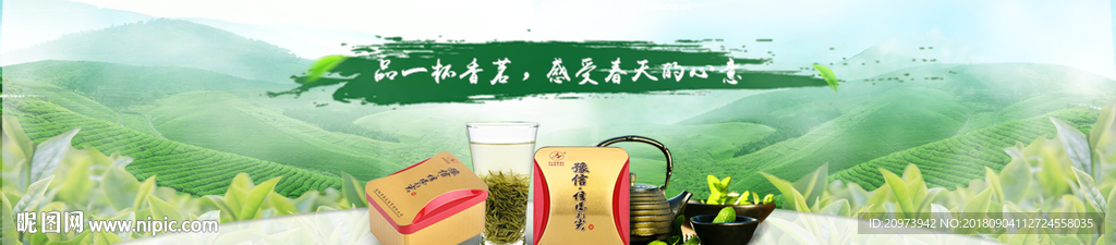茶叶banner
