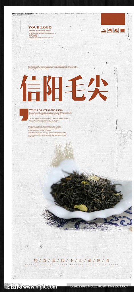 信阳毛尖