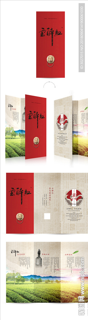 茶叶三折页