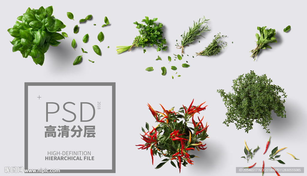 蔬菜