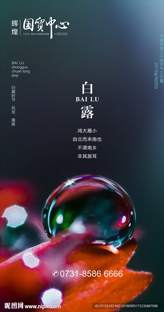 白露 白露海报