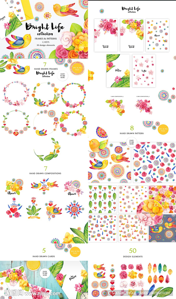 手绘水彩多肉小鸟植物花卉