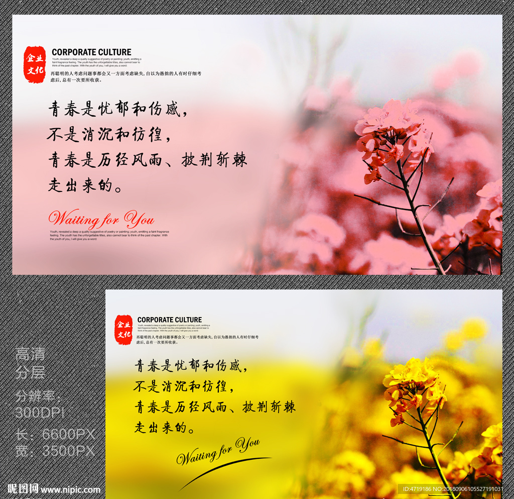 青春唯美花卉海报
