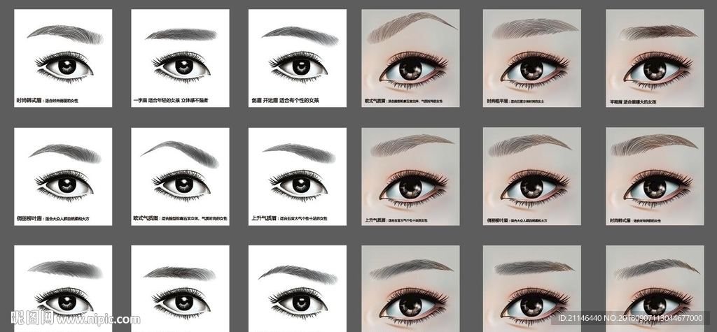 矢量 逼真眼睛 纹眉 眉毛样板