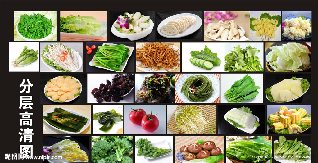 青菜白菜图片