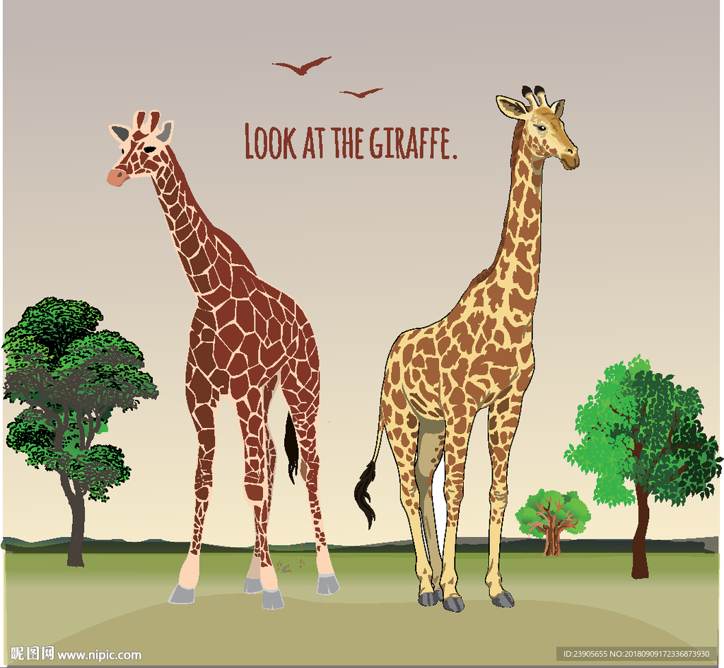 高清晰可爱的长颈鹿写真壁纸-欧莱凯设计网