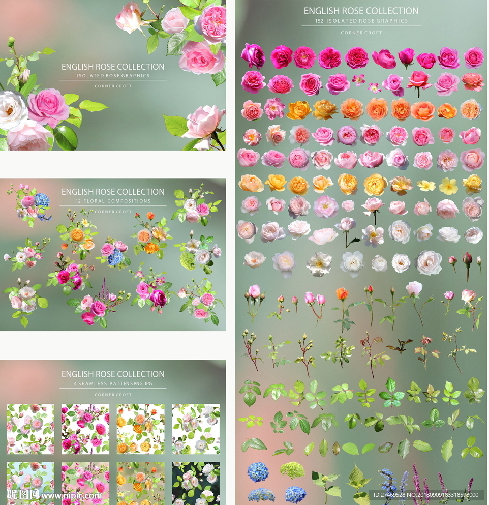 玫瑰花素材