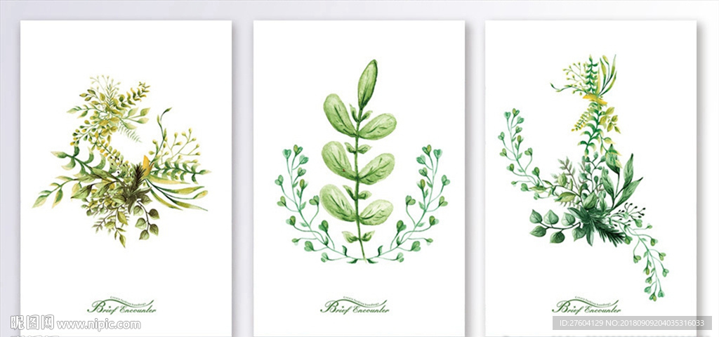 植物手绘花卉艺术装饰画