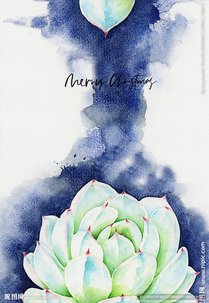 抽象肉肉植物装饰画