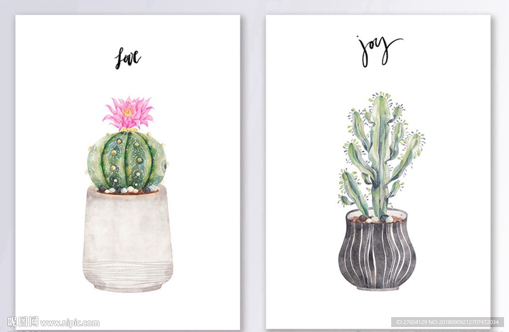 盘栽肉肉植物装饰画