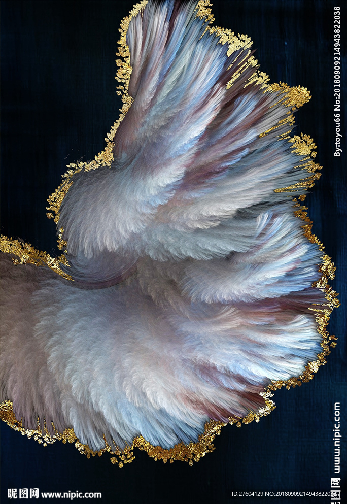 彩色羽毛金箔装饰画