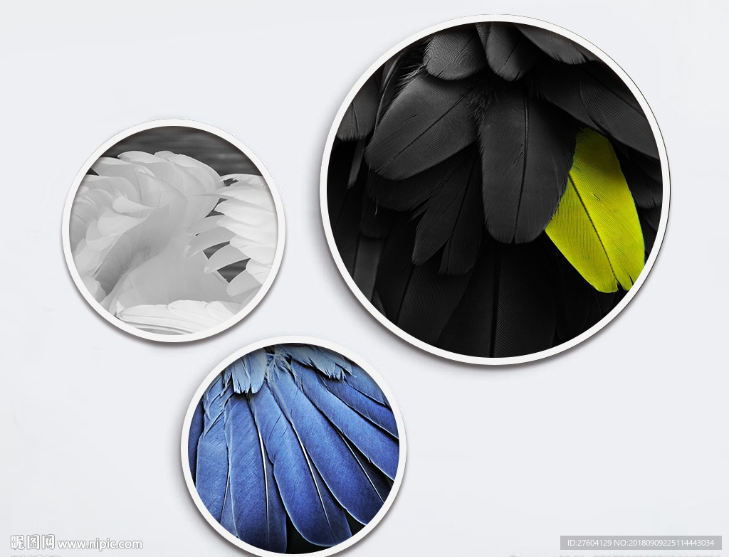黑白蓝色羽毛装饰画