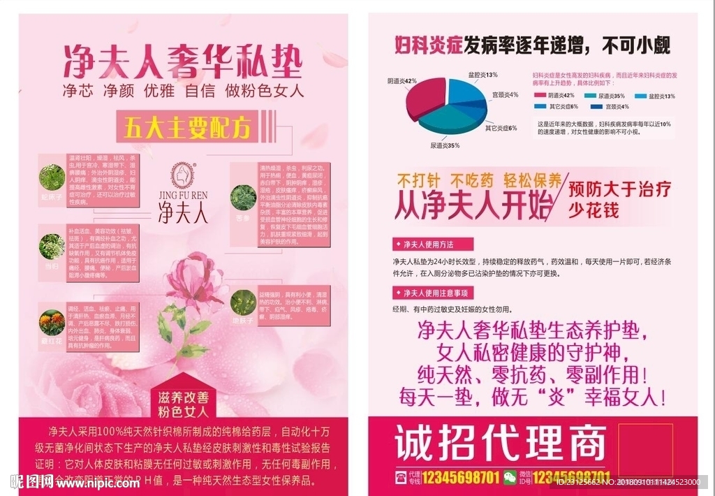 净夫人海报