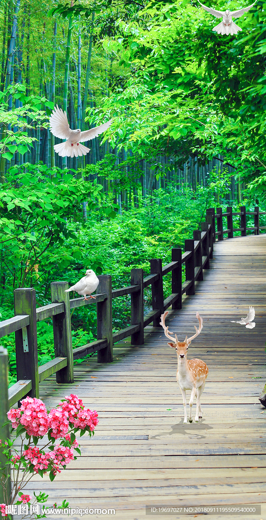 木桥竹林风景白鸽玄关背景墙壁画