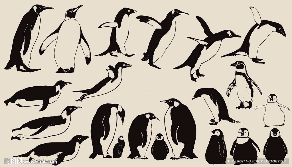 企鹅 矢量图片