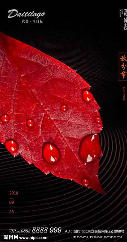 秋分