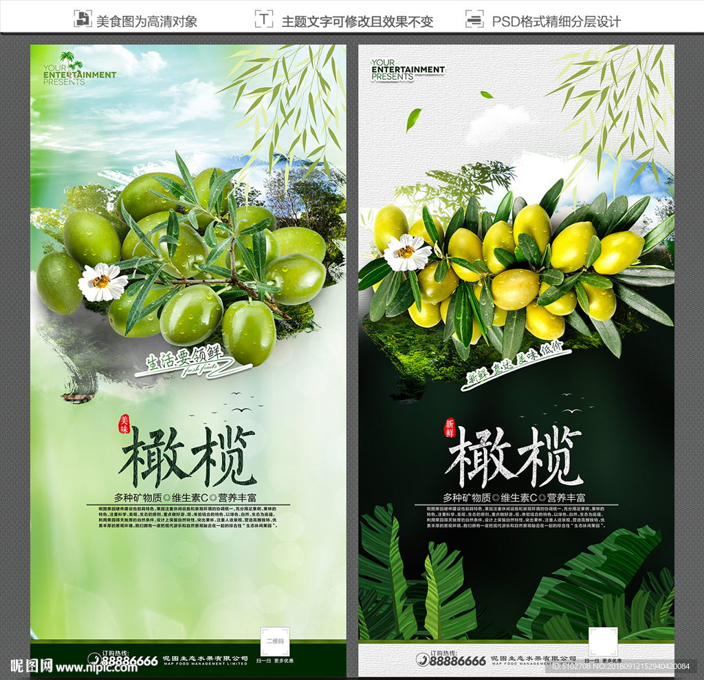 橄榄