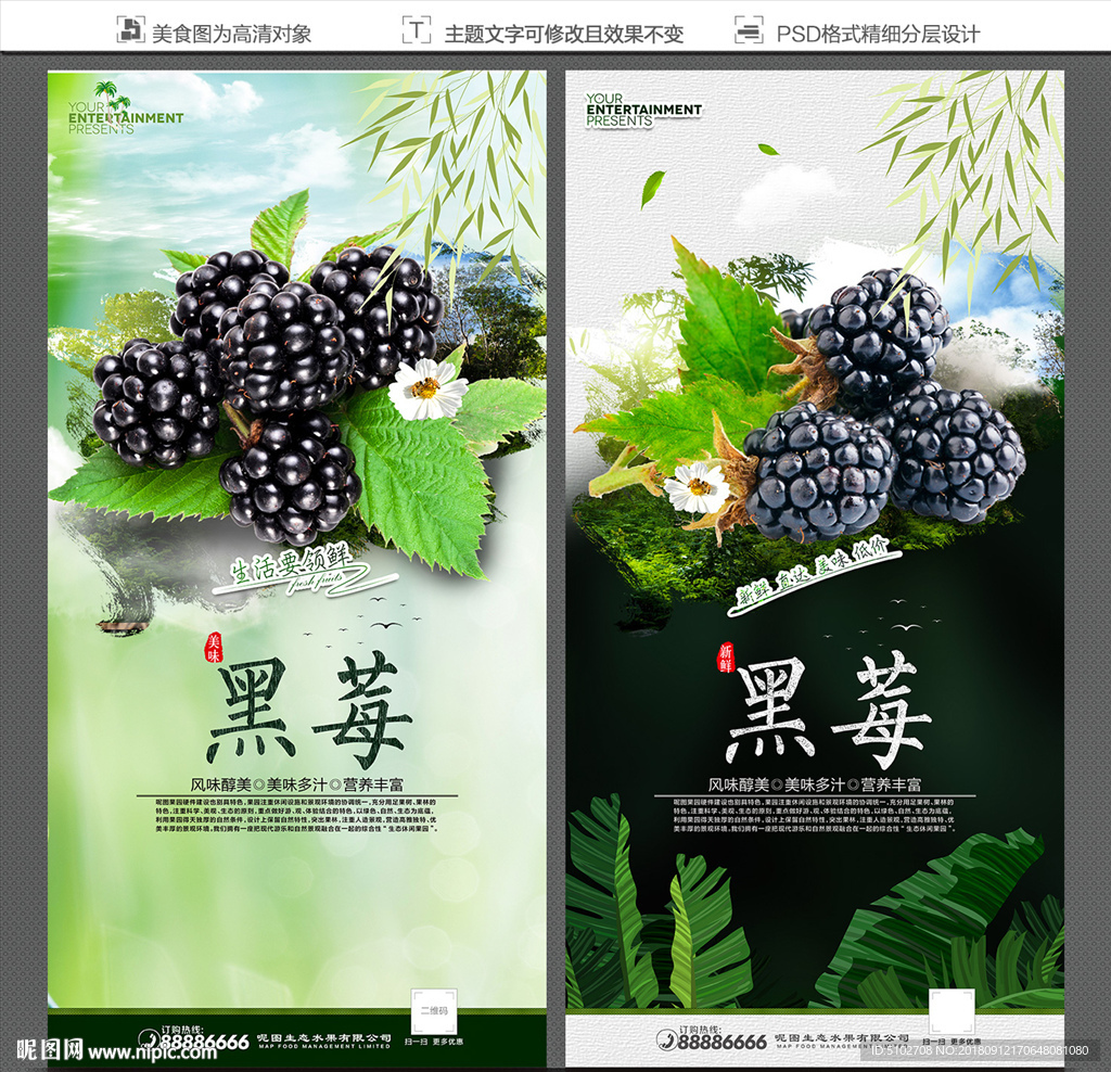 黑莓