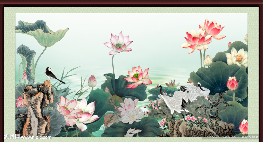 国画荷花