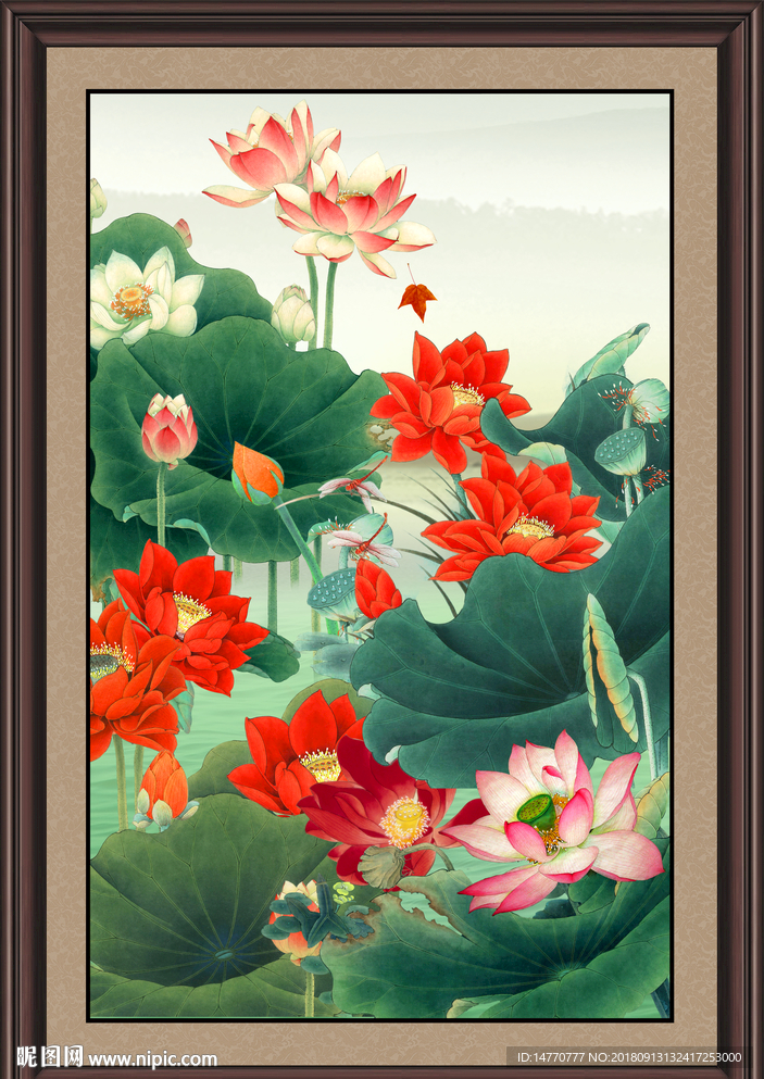 国画荷花