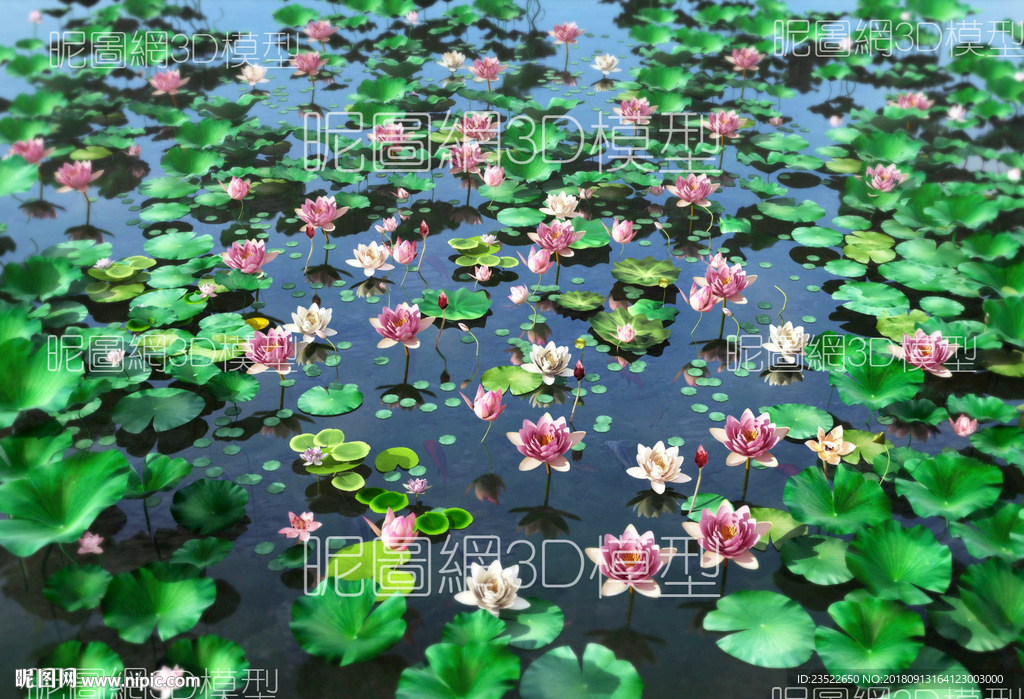 荷花 莲花动画