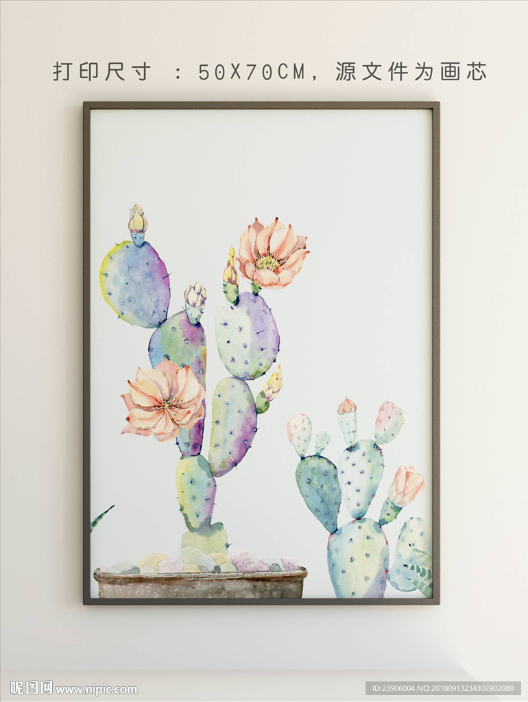 仙人掌 手绘植物装饰画